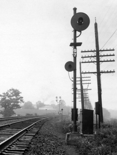 photo courtesy of Zachary Gillihan