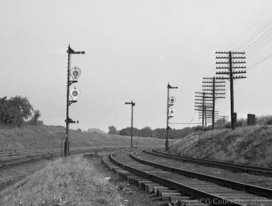 photo courtesy of Zachary Gillihan